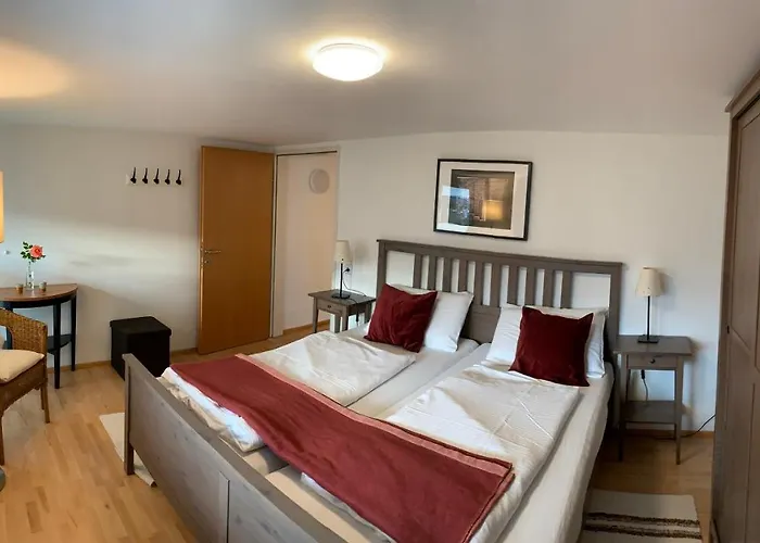 Apartment Zum Bregenz